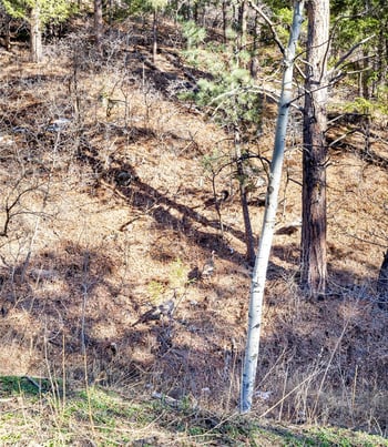 9079 Murphy Gulch Rd, Littleton, CO 80127