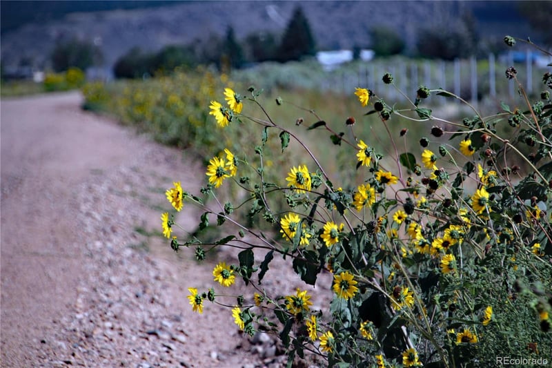 123 acres County Road 13 2, Garcia, CO 81152