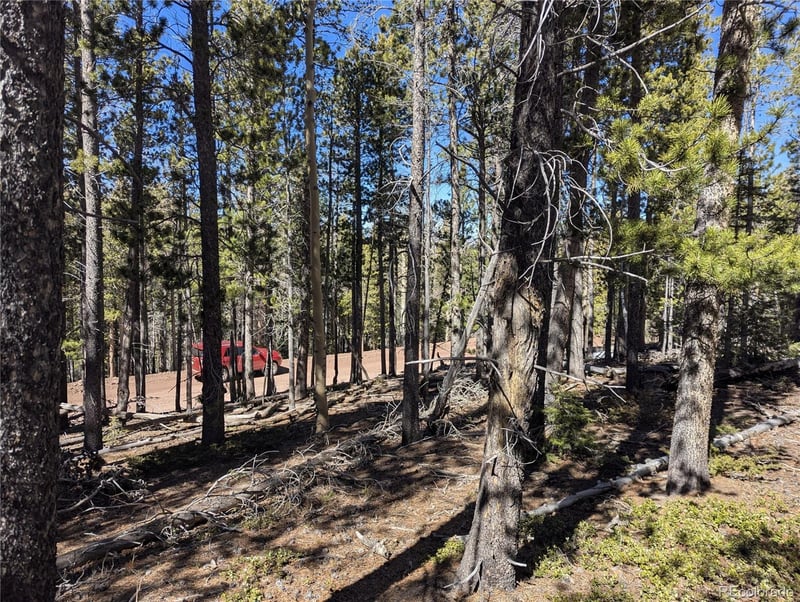 3323 Purnell Ln, Fort Garland, CO 81133