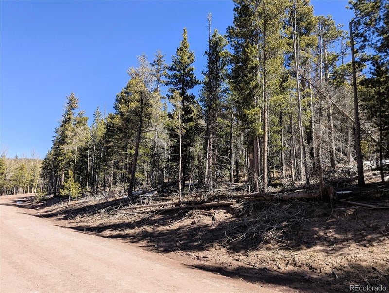 3323 Purnell Ln, Fort Garland, CO 81133