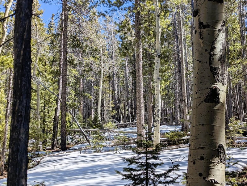 3323 Purnell Ln, Fort Garland, CO 81133