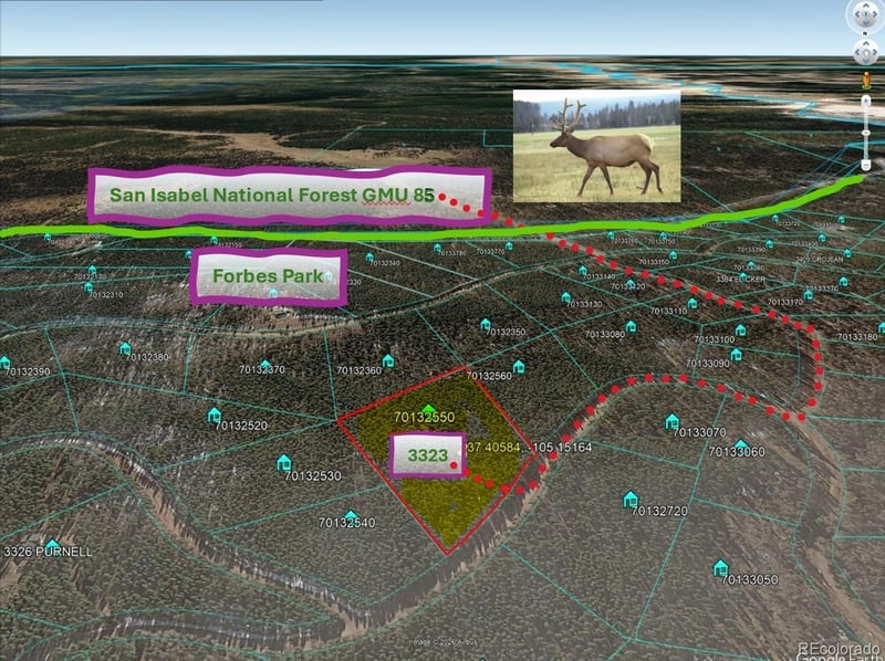 3323 Purnell Ln, Fort Garland, CO 81133