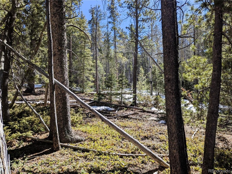 3323 Purnell Ln, Fort Garland, CO 81133