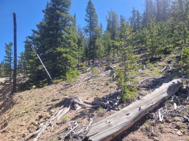 Mine Rd Lot R005188, Idaho Springs, CO 80444