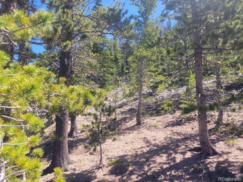 Mine Rd Lot R005188, Idaho Springs, CO 80444