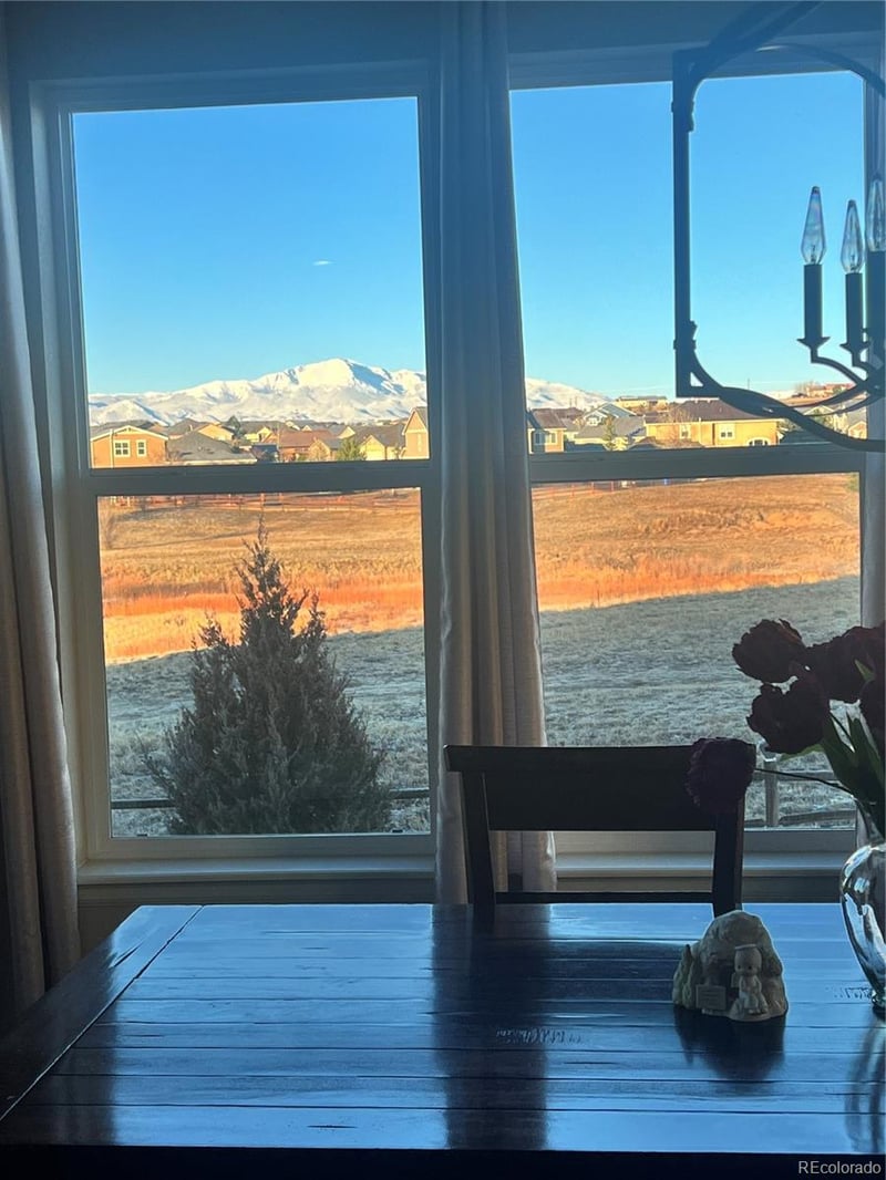 10952 Torreys Peak Way, Peyton, CO 80831