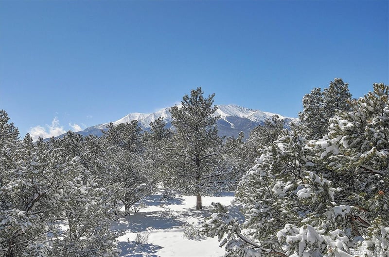 17158 County Road 363, Buena Vista, CO 81211