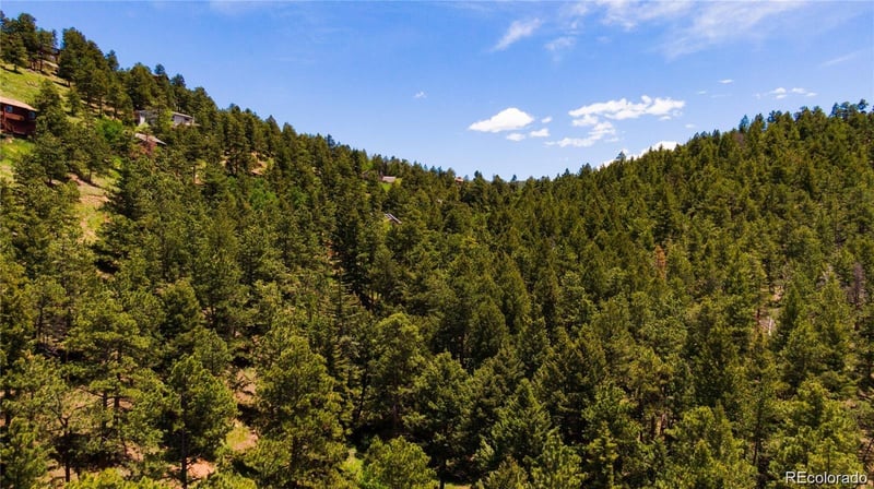 27292 Ridge Trl, Conifer, CO 80433