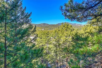 27292 Ridge Trl, Conifer, CO 80433
