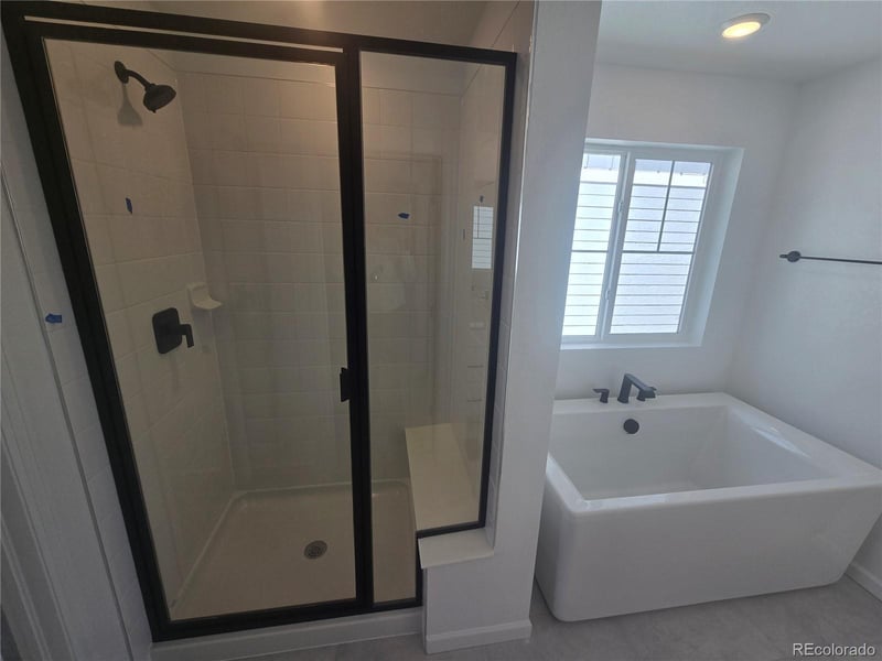 8742 Yellowcress St, Littleton, CO 80125