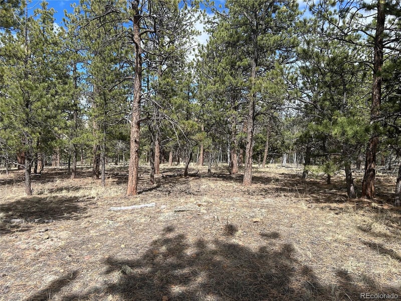 97 Chap Way, Hartsel, CO 80449