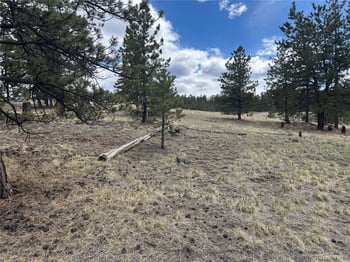 97 Chap Way, Hartsel, CO 80449