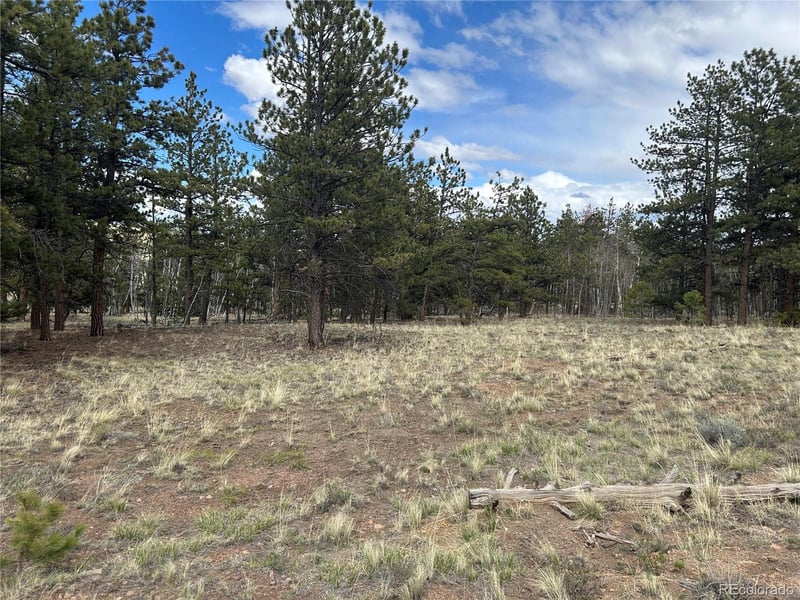 97 Chap Way, Hartsel, CO 80449