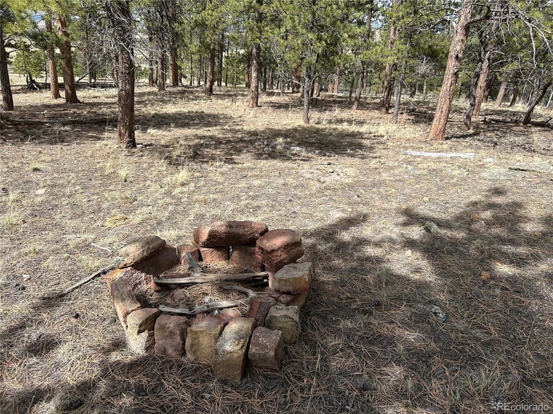 97 Chap Way, Hartsel, CO 80449