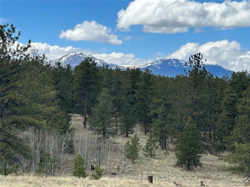 97 Chap Way, Hartsel, CO 80449