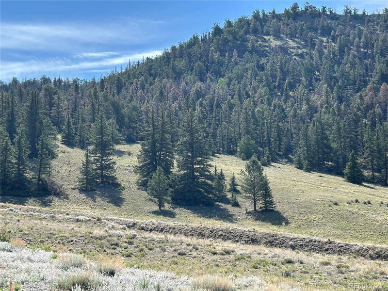 Hwy 285/24 , Buena Vista, CO 81211