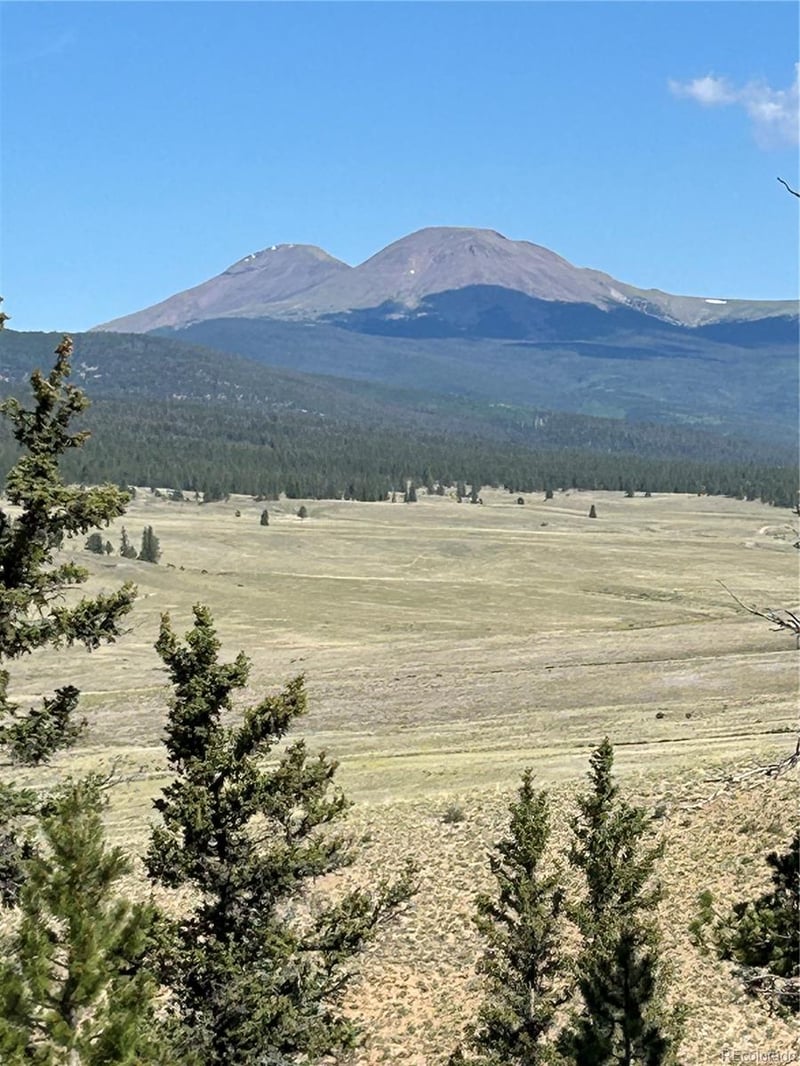 Hwy 285/24 , Buena Vista, CO 81211