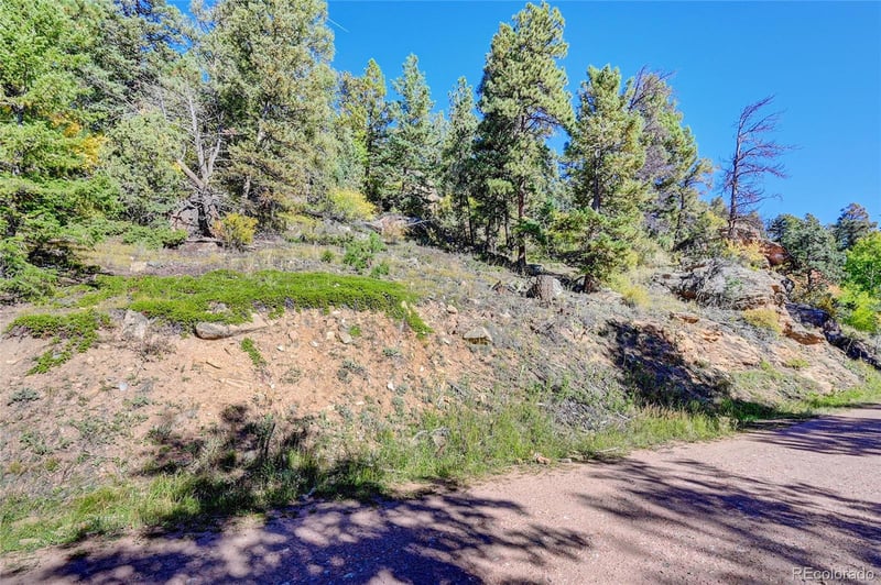 11723 Braun Way, Conifer, CO 80433