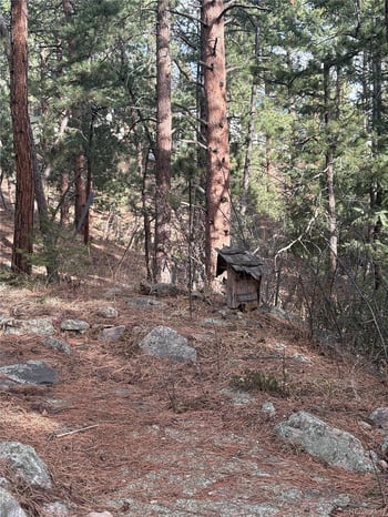 3137 Meadow View Rd, Evergreen, CO 80439