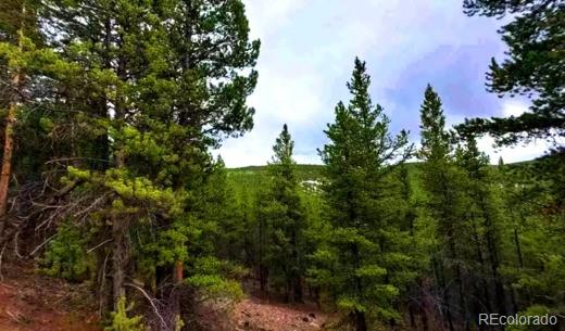 111 Forest Service Rd 752 3b, Gunnison, CO 81231