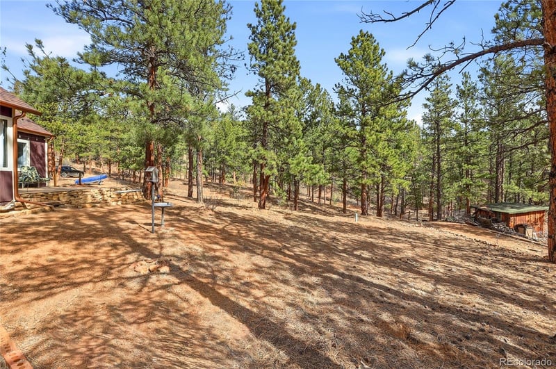 28587 Park Ave, Pine, CO 80470