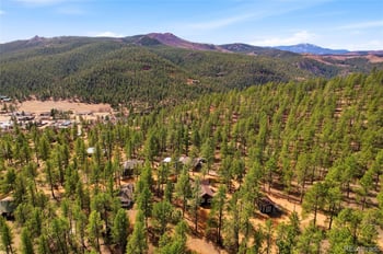 28587 Park Ave, Pine, CO 80470