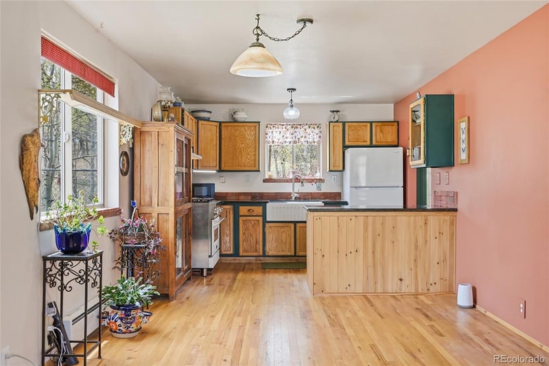 398 Aspen Dr, Bailey, CO 80421