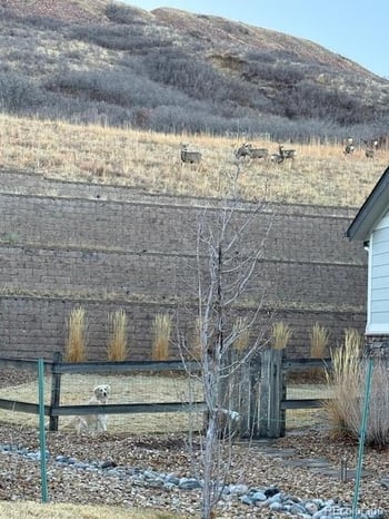 3248 Mccracken Ln, Castle Rock, CO 80104