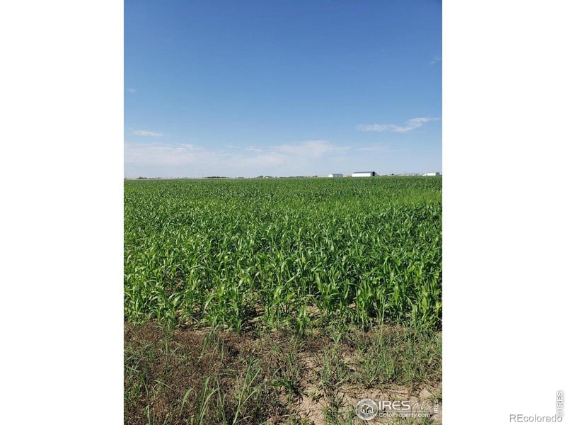 County Road 6, Wiggins, CO 80654