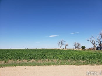 County Road 6, Wiggins, CO 80654