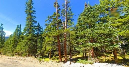 Lot 42 Mine Rd, Idaho Springs, CO 80452