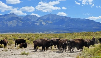 6150 Tim Rd, Garcia, CO 81152