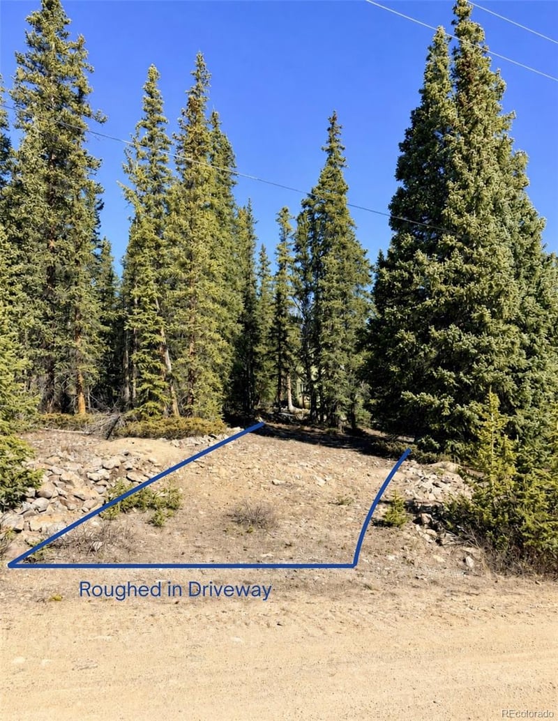 163 Prunes Pl, Fairplay, CO 80440