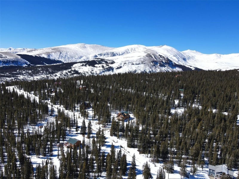 163 Prunes Pl, Fairplay, CO 80440