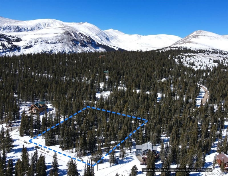 163 Prunes Pl, Fairplay, CO 80440