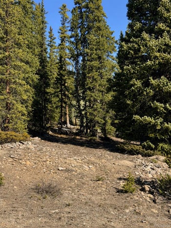 163 Prunes Pl, Fairplay, CO 80440