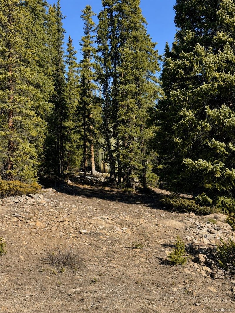 163 Prunes Pl, Fairplay, CO 80440