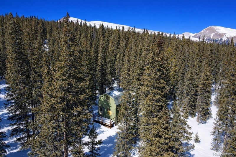 163 Prunes Pl Lot 826, Fairplay, CO 80440