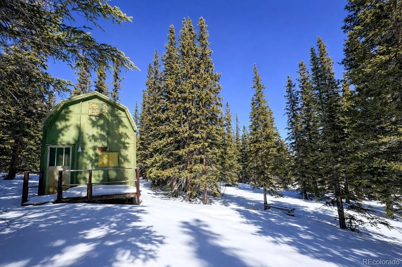 163 Prunes Pl Lot 826, Fairplay, CO 80440