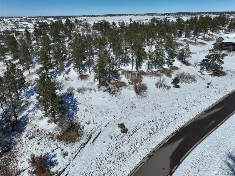 8125 Pine Straw Pl, Franktown, CO 80116