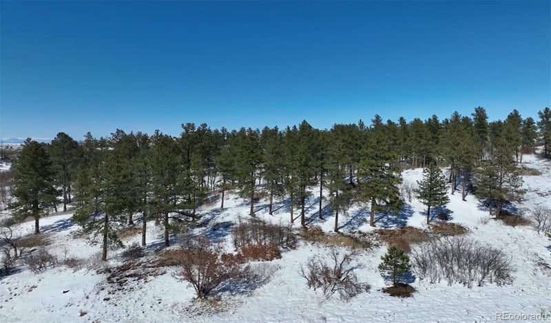 8125 Pine Straw Pl, Franktown, CO 80116
