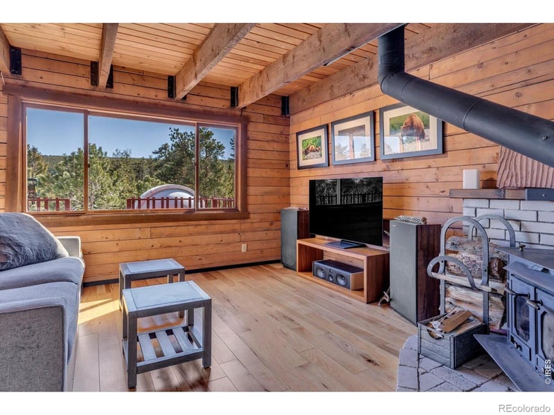 95 Meadowland Ct, Nederland, CO 80466