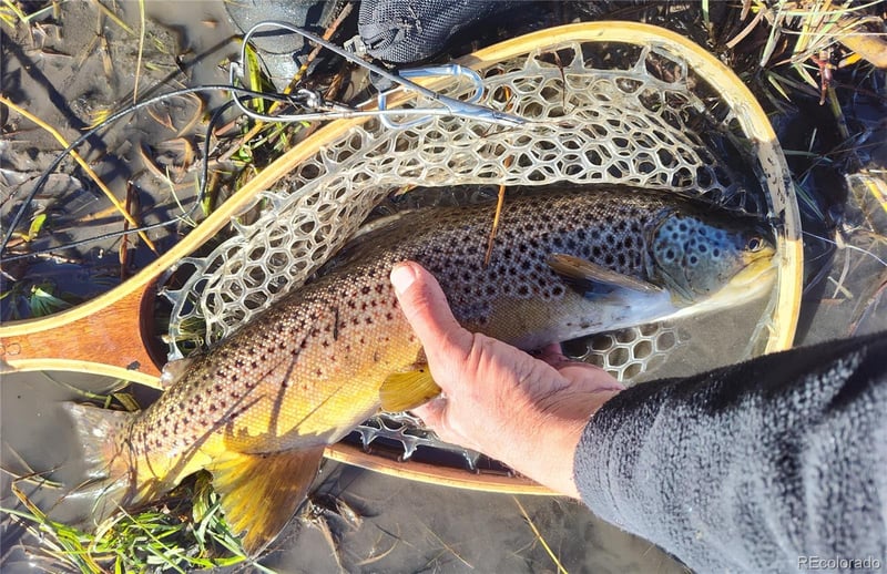 1423 Redhill Rd, Fairplay, CO 80440