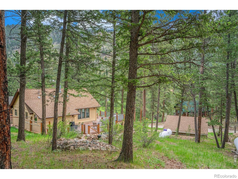 355 Cedar Dr, Lyons, CO 80540