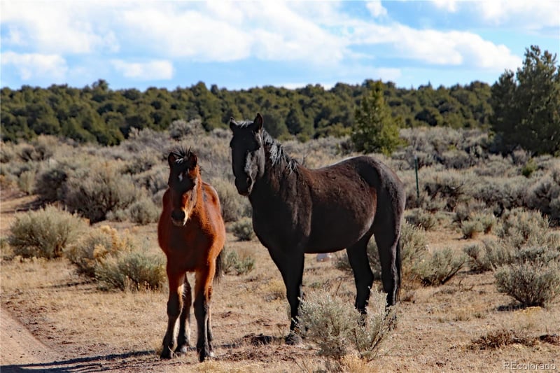 Parcel 17 Alta Mesa Dr, San Luis, CO 81152