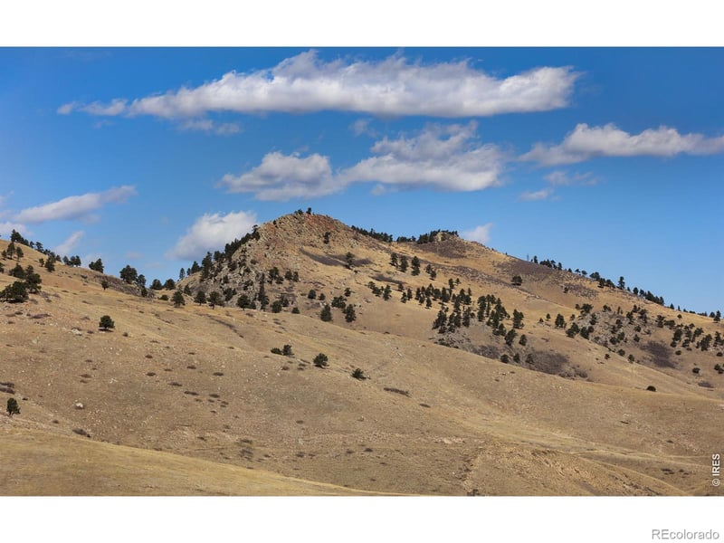 650 Terrace Ave #E, Boulder, CO 80304