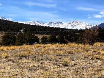 225 Wagon Wheel Rd, Hartsel, CO 80449