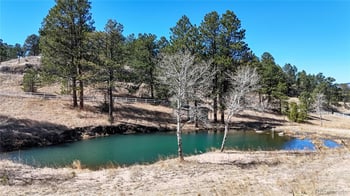 494 Thunder Rd, Evergreen, CO 80439