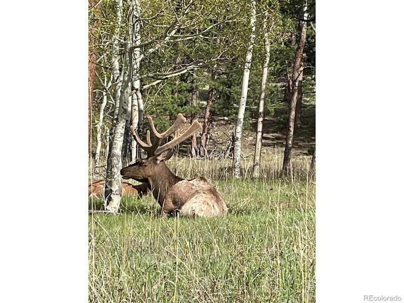 1565 Highway 66 #31, Estes Park, CO 80517