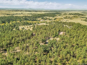 10445 Empire Dr, Franktown, CO 80116